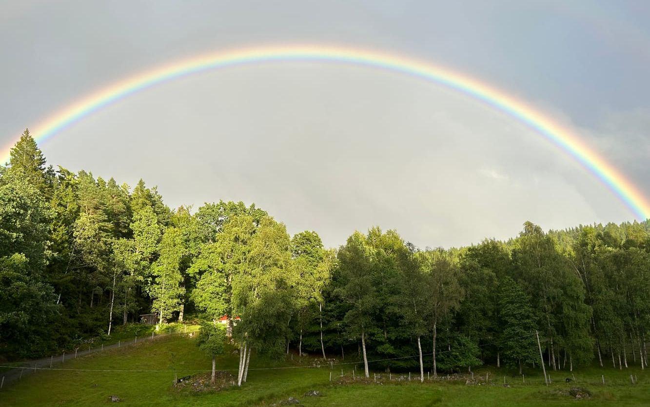 Regnbåge i Hemsjö.