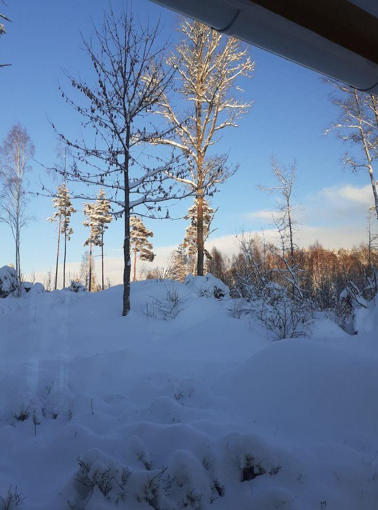 När jag trodde att våren kommit kom det här istället! Taget 9 mars 2023 i Attholmen!